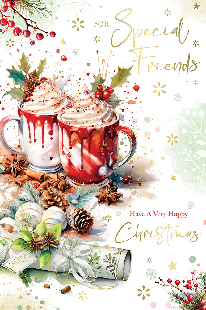 Kingfisher C75 Christmas Special Friends 6pk