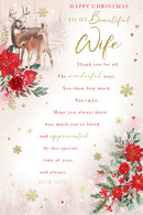 Kingfisher C75 Christmas Wife 6pk