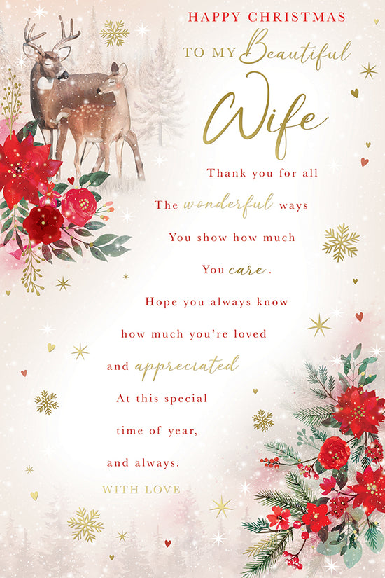 Kingfisher C75 Christmas Wife 6pk