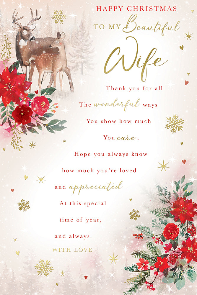 Kingfisher C75 Christmas Wife 6pk
