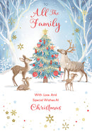 Kingfisher C75 Christmas All The Family 6pk