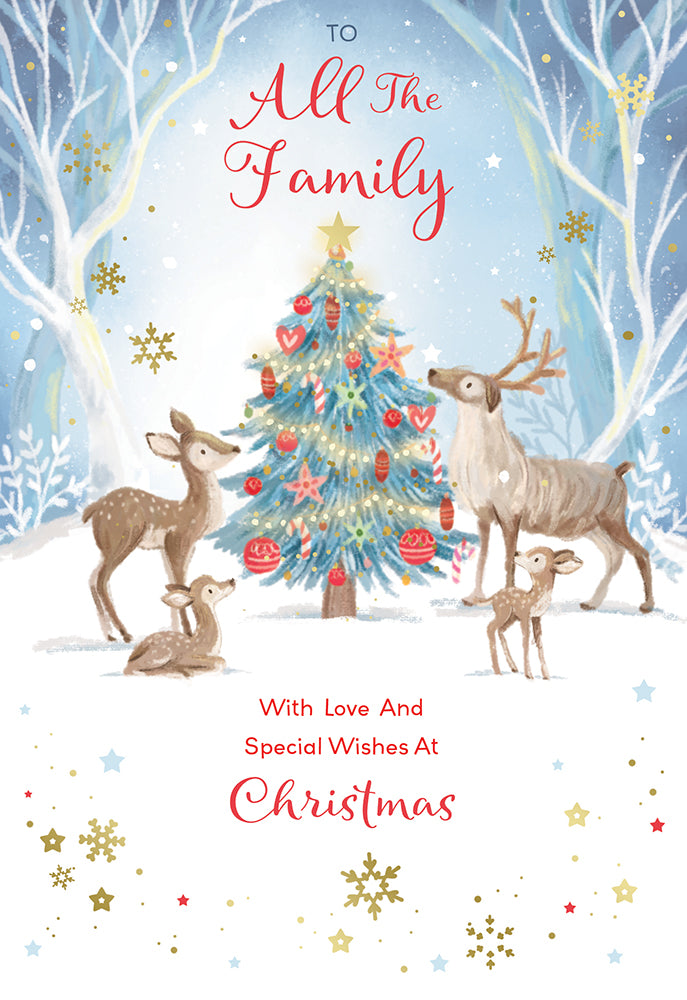Kingfisher C75 Christmas All The Family 6pk