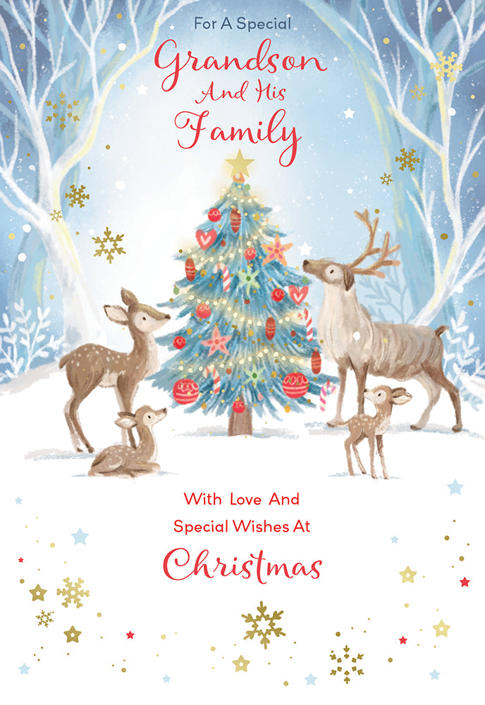 Kingfisher C75 Christmas Grandson & Family 6pk