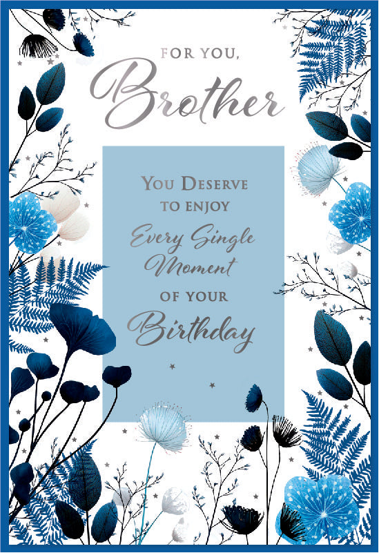 Simon Elvin C50 Birthday Brother 6pk