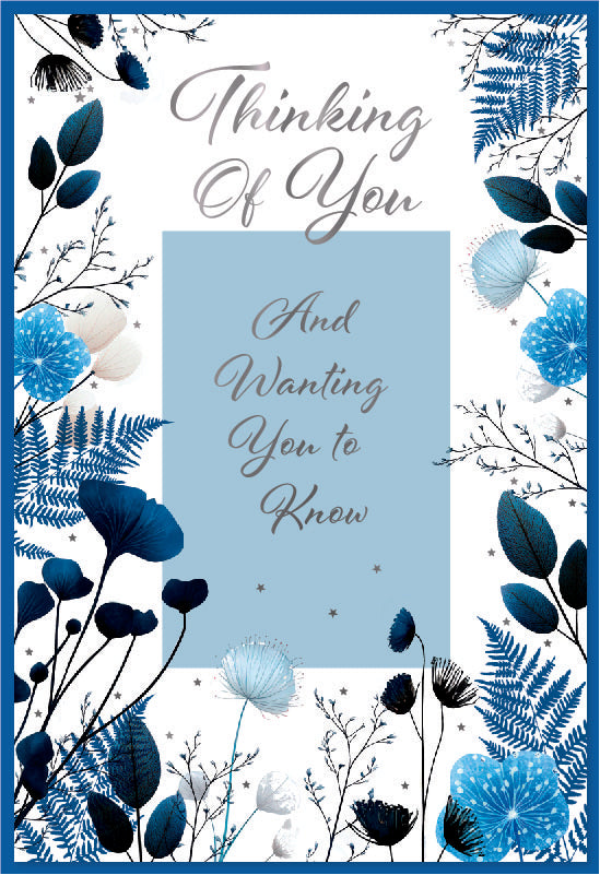 Simon Elvin C50 Thinking Of You 6pk