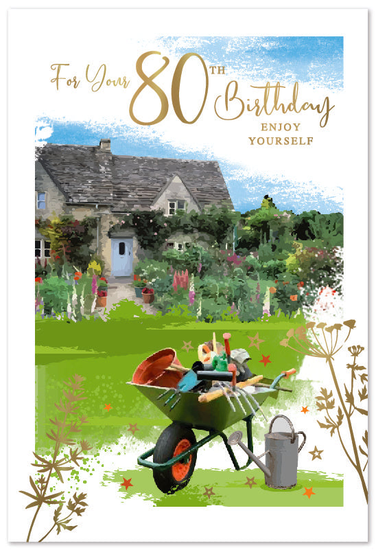 Simon Elvin C50 Birthday  Age 80 6pk