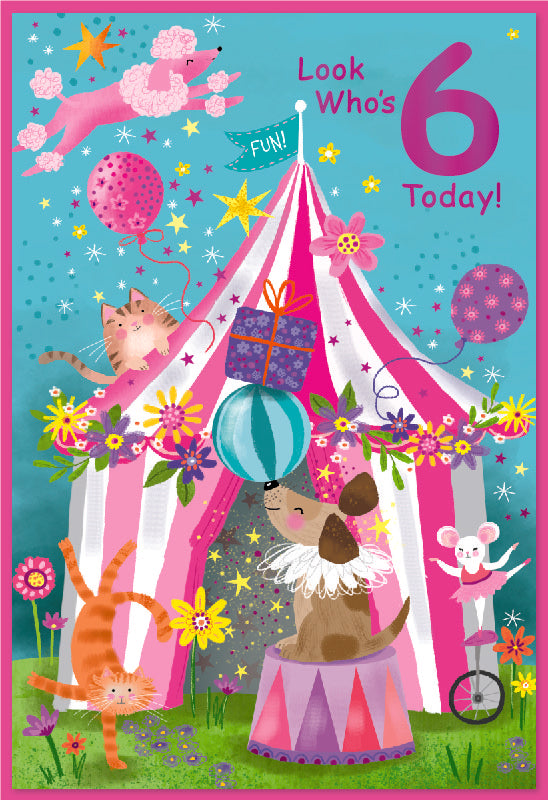 Simon Elvin C50 Birthday Age 6 6pk