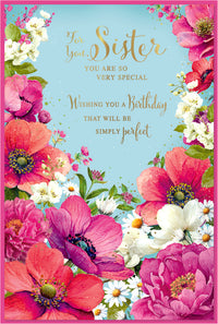 Simon Elvin C75 Birthday Sister 6pk