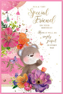 Simon Elvin C75 Birthday Special Friend 6pk
