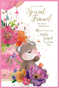 Simon Elvin C75 Birthday Special Friend 6pk