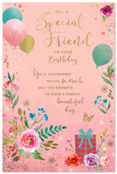 Simon Elvin C75 Birthday Special Friend 6pk