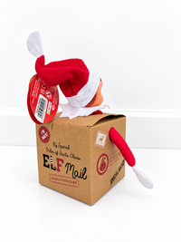 Elf Arrival Box Kit (Design May Vary)