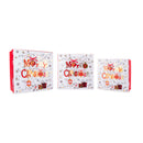 Gift Box Santa & Snowman Large Set of 3