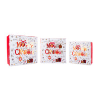 Gift Box Santa & Snowman Large Set of 3