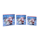 Gift Box Cute Santa Medium Set of 3