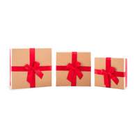 Gift Box Red & Brown Medium Set of 3