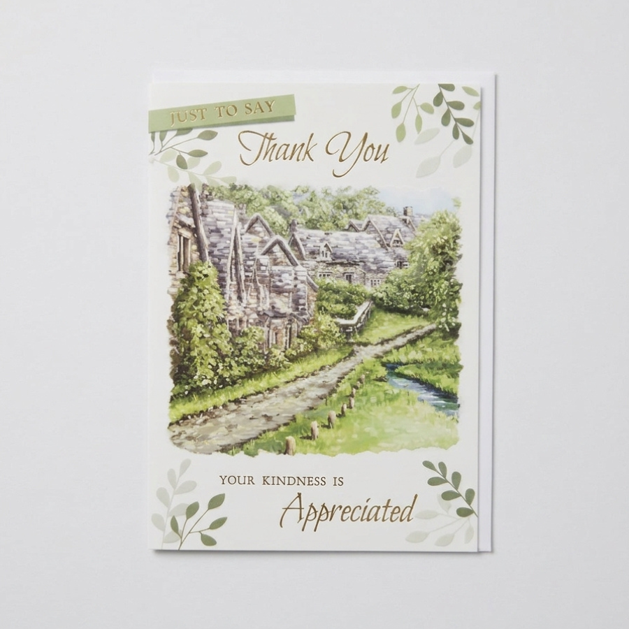 Tiger Feet C50 Thank You 12pk card pack displayed on a white background