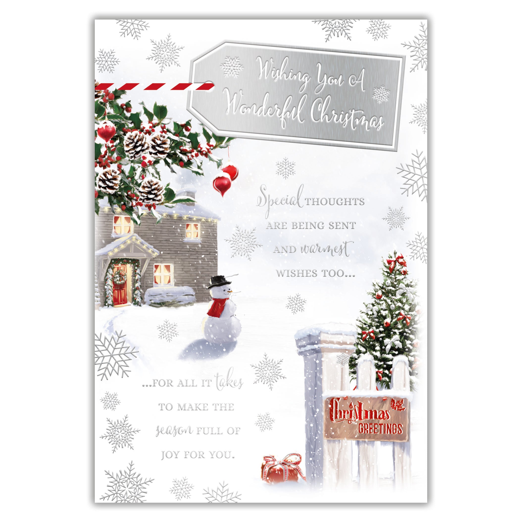 Tiger Feet Christmas C45 Boxed Cards Open 24x30pk