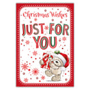 Tiger Feet Christmas C45 Boxed Cards Open 24x30pk