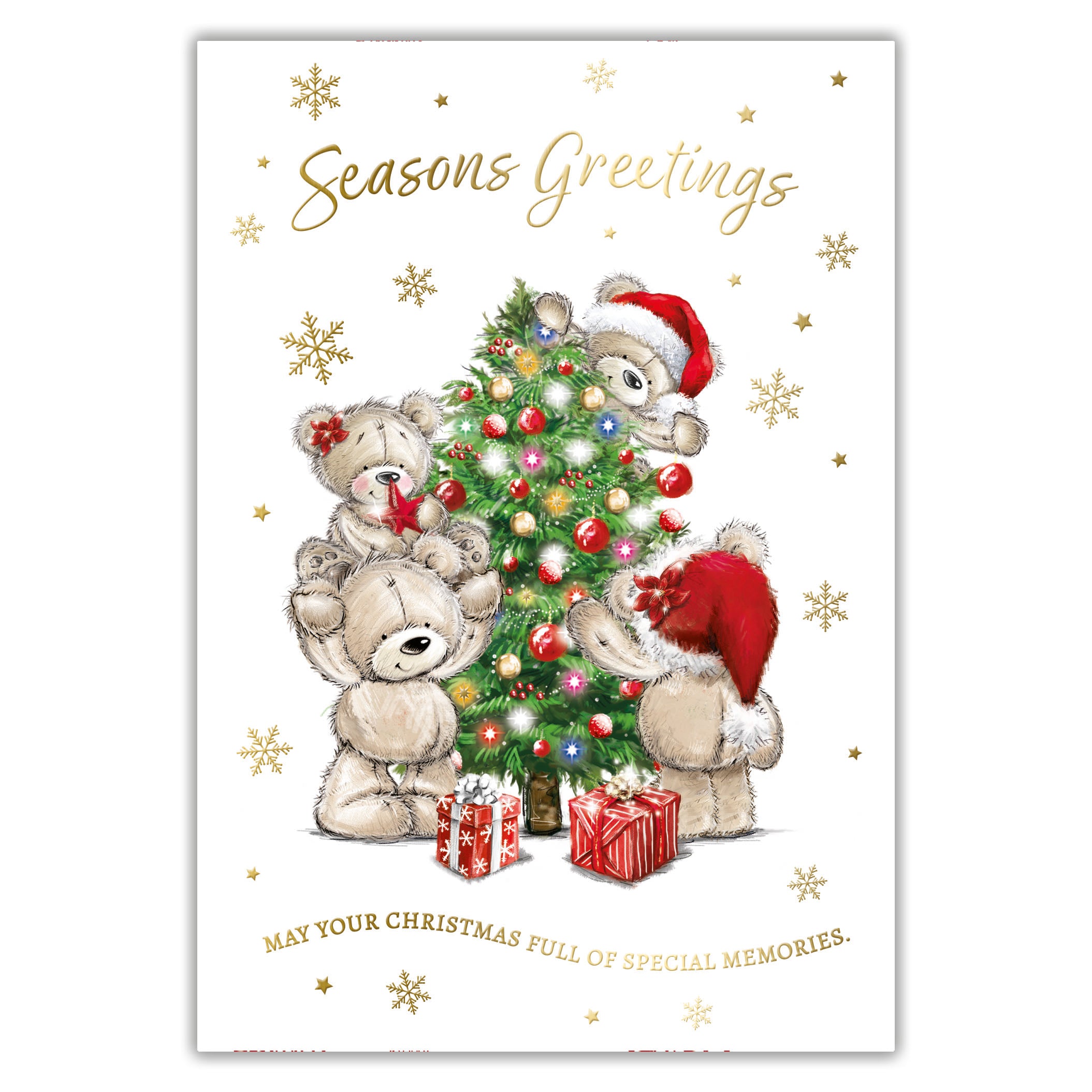 Tiger Feet Christmas C45 Boxed Cards Open 24x30pk