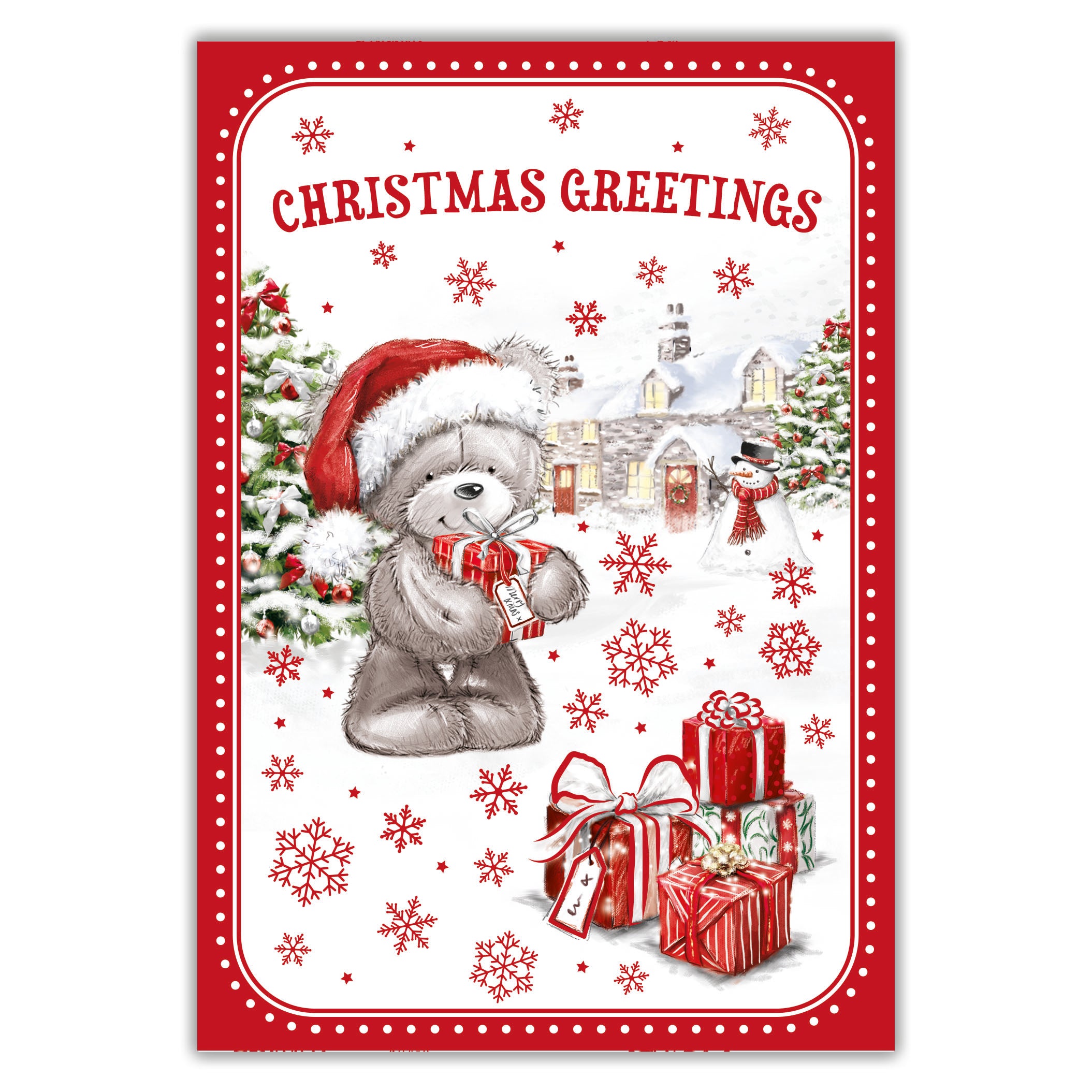 Tiger Feet Christmas C45 Boxed Cards Open 24x30pk