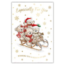 Tiger Feet Christmas C45 Boxed Cards Open 24x30pk