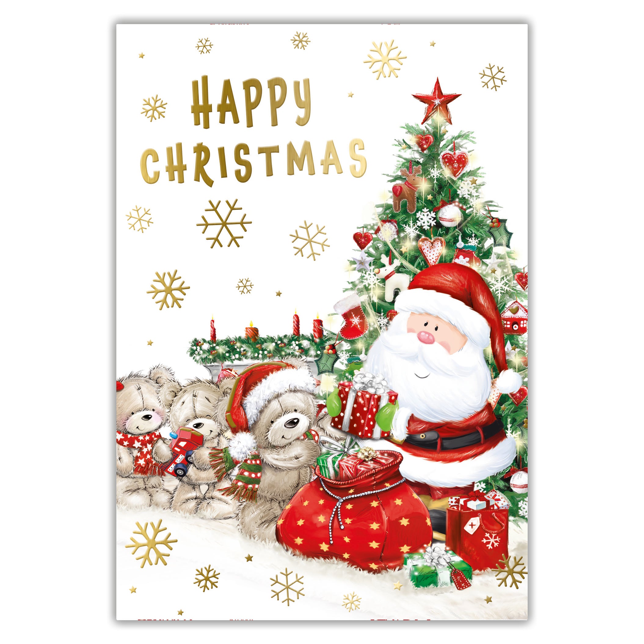 Tiger Feet Christmas C45 Boxed Cards Open 24x30pk