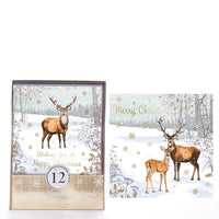 Tiger Feet C50 Christmas Acetates Stag 24x12pk