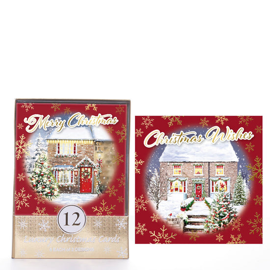 Tiger Feet C50 Christmas Acetates Outdoor 24x12pk