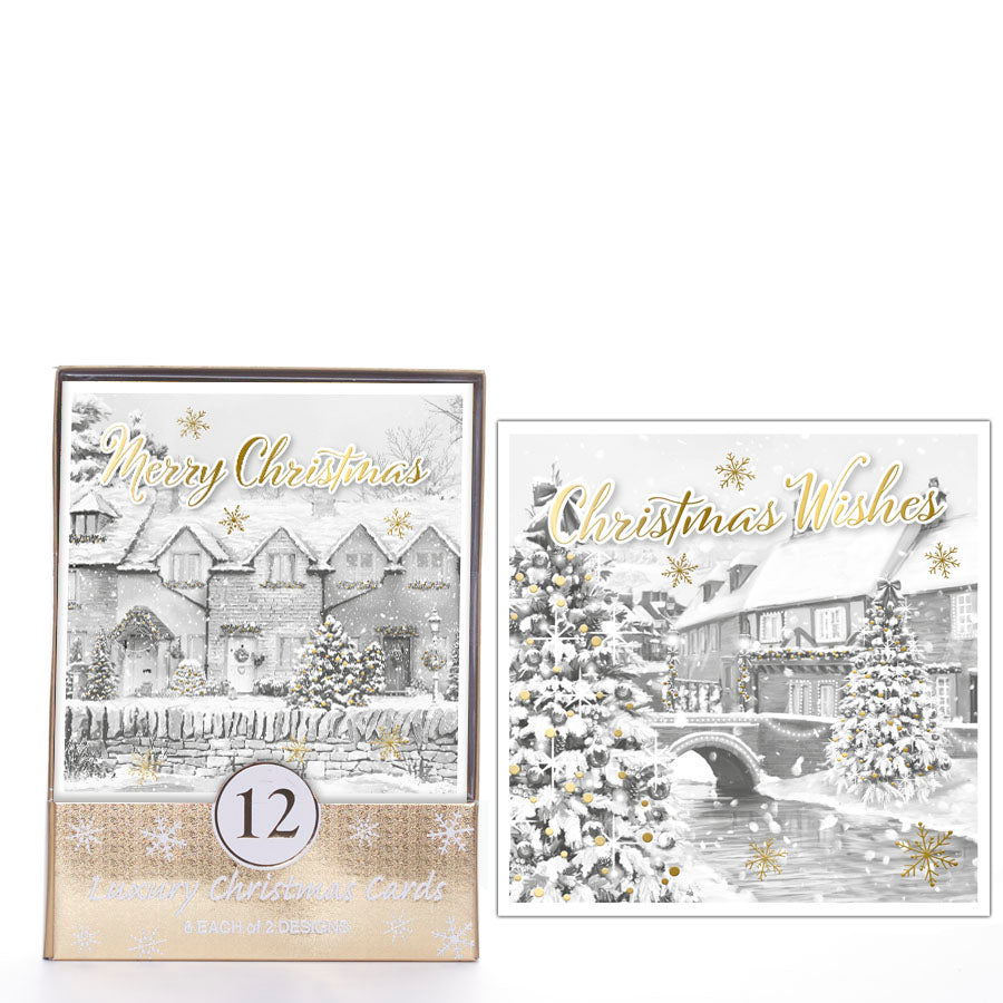 Tiger Feet C50 Christmas Acetates Outdoor 24x12pk