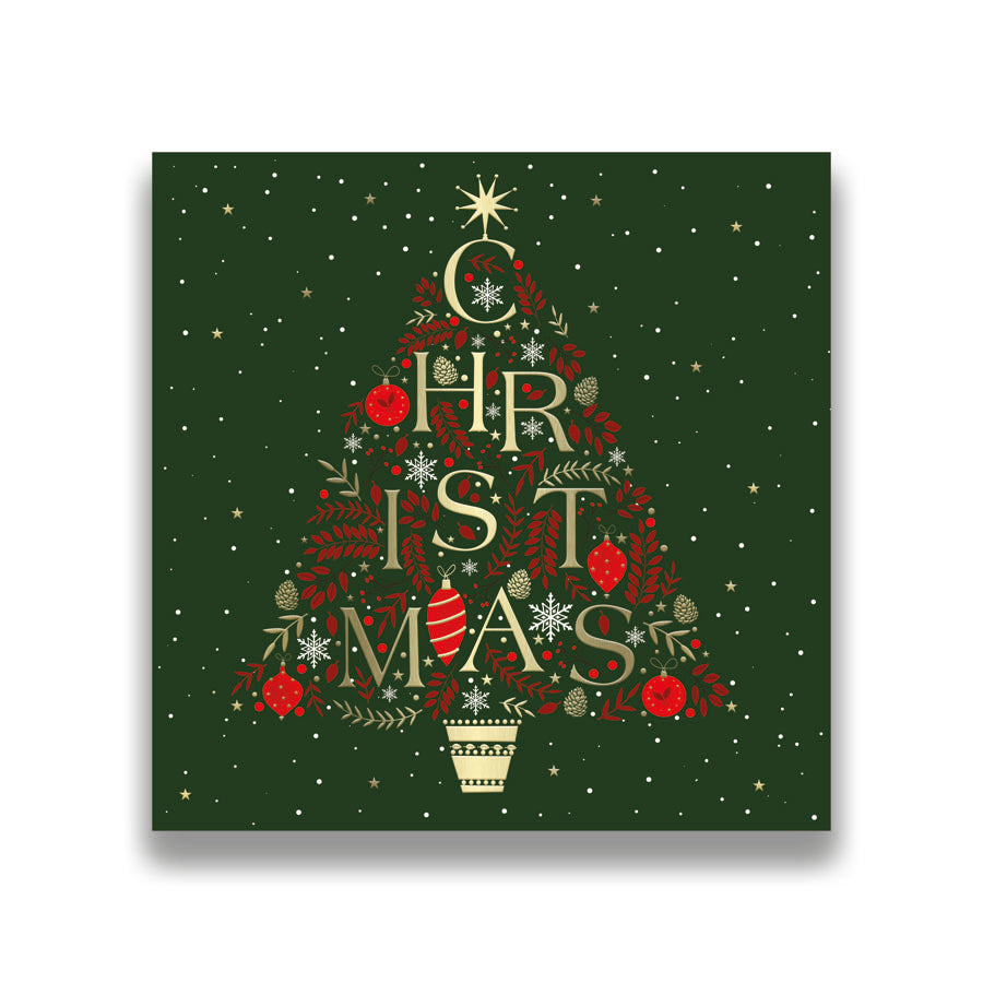 Prelude C160S Christmas Boxed Cards Open 24x10pk