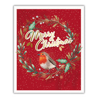 Tiger Feet Christmas Boxed Cards Medium 24x22pk
