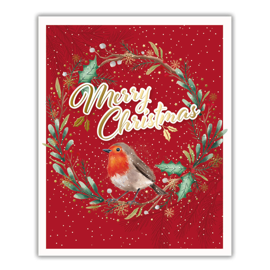 Tiger Feet Christmas Boxed Cards Medium 24x22pk