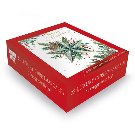 Tiger Feet Christmas Boxed Cards Medium 24x22pk