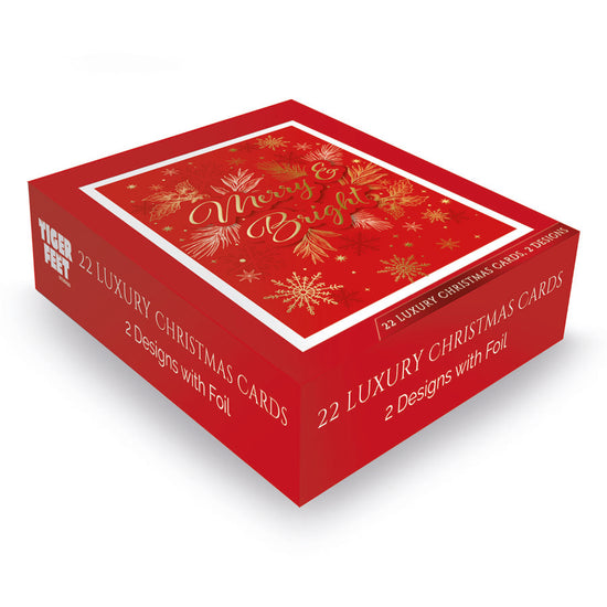 Tiger Feet Christmas Boxed Cards Medium 24x22pk