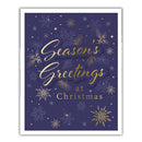 Tiger Feet Christmas Boxed Cards Medium 24x22pk