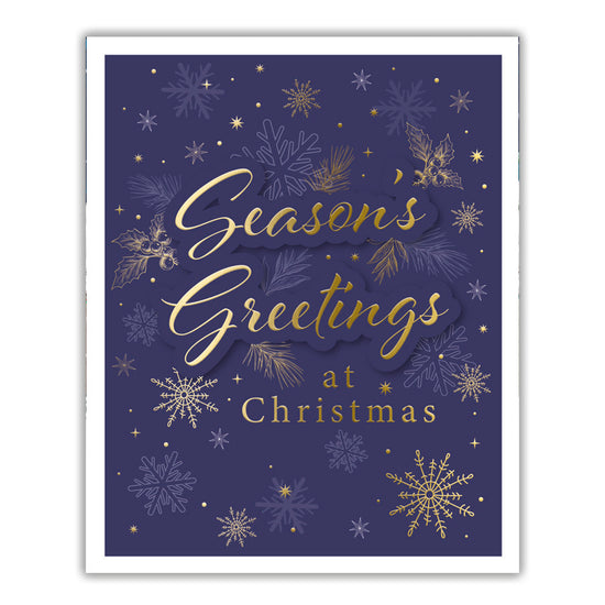 Tiger Feet Christmas Boxed Cards Medium 24x22pk