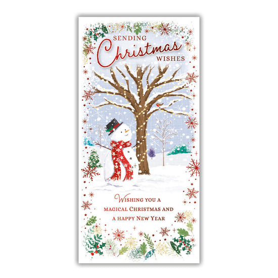 Tiger Feet Christmas Slim Boxed Cards Open 24x18pk