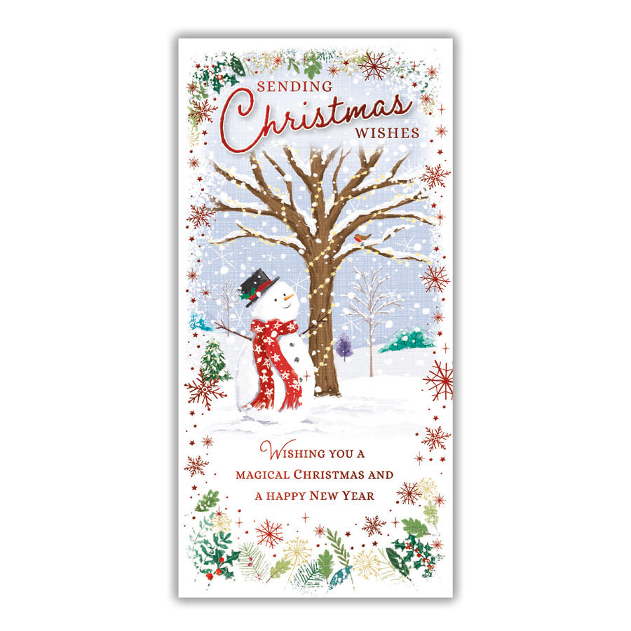 Tiger Feet Christmas Slim Boxed Cards Open 24x18pk