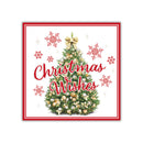 Tiger Feet Christmas Square Boxed Cards 24x40pk