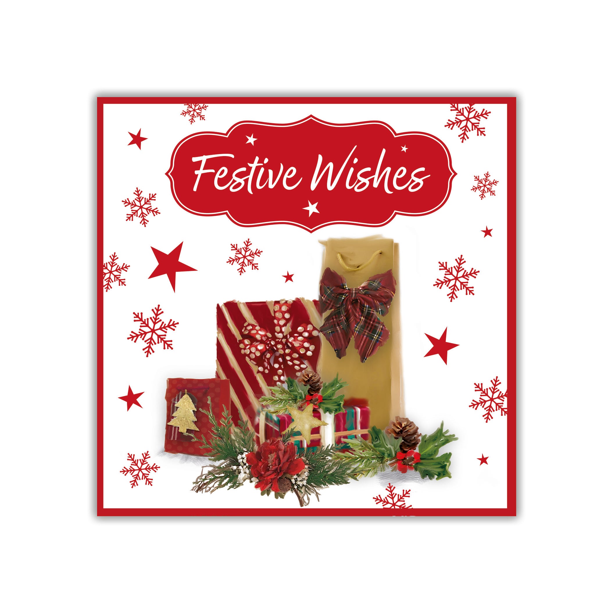 Tiger Feet Christmas Square Boxed Cards 24x40pk