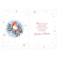 Prelude C50 Christmas Friend 6pk