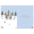 Prelude C50 Christmas Sister & Brother-In-Law 6pk