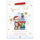 Prelude C50 Christmas Dad 6pk