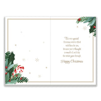 Prelude C75 Christmas Mum 6pk