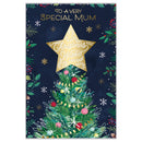 Prelude C75 Christmas Mum 6pk