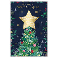 Prelude C75 Christmas Mum 6pk