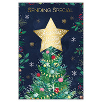 Prelude C75 Christmas Open 6pk