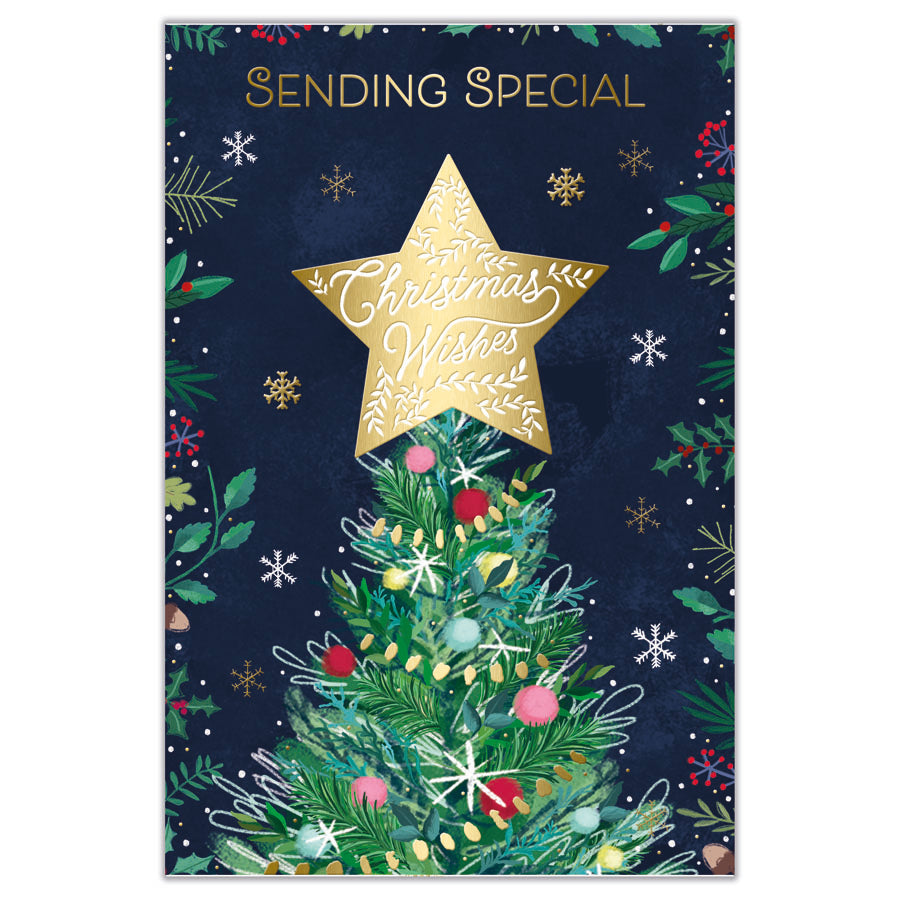 Prelude C75 Christmas Open 6pk