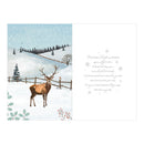 Prelude C75 Christmas Grandad 6pk